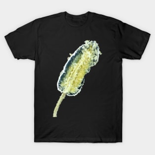 Hot pepper flower stamen with pollen under the microscope T-Shirt